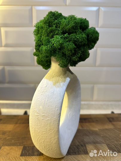 Стабилизированный мох фигура статуэтка