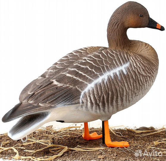 Профиля гусей Элит 3д