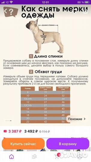 Комбинезон для собаки-девочки ForMyDogs 10 размер