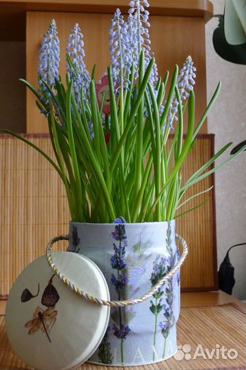 Банка из жести, декор, декупаж, лаванда