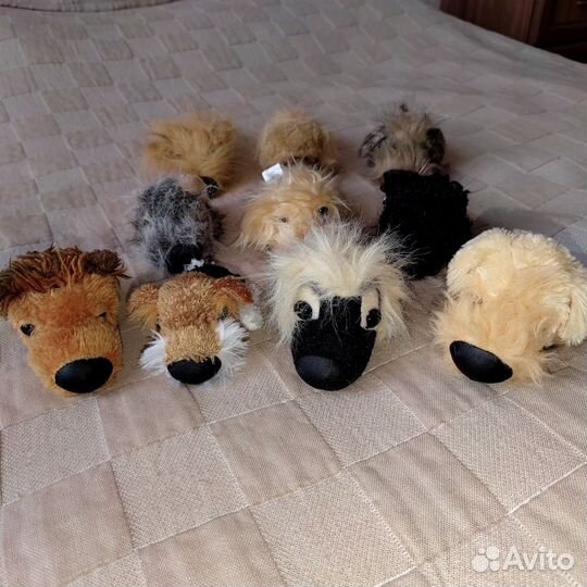 The dog collection