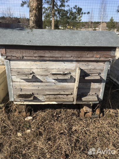 Улей с пчелами