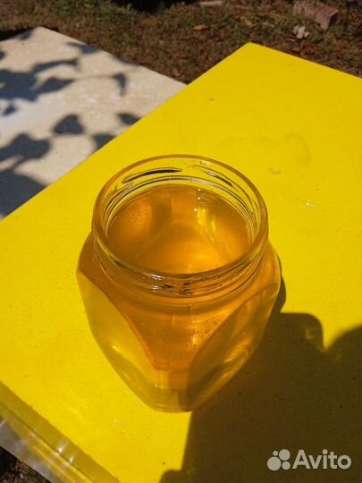 Мед с Акации