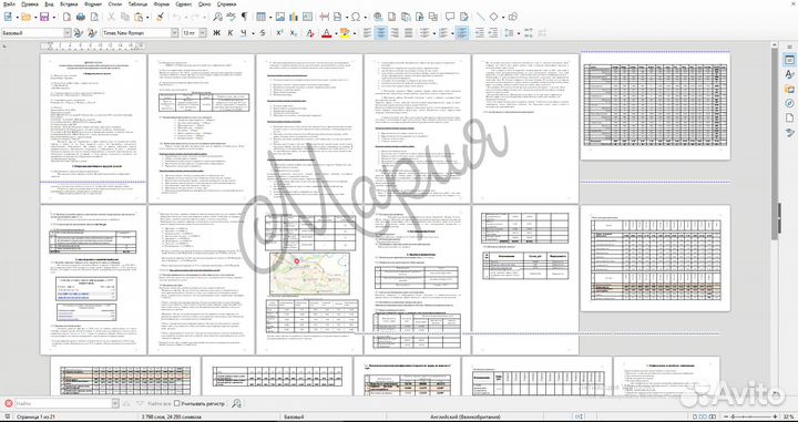 Бизнес план для соцконтракта