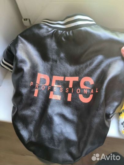 Одежда для собак