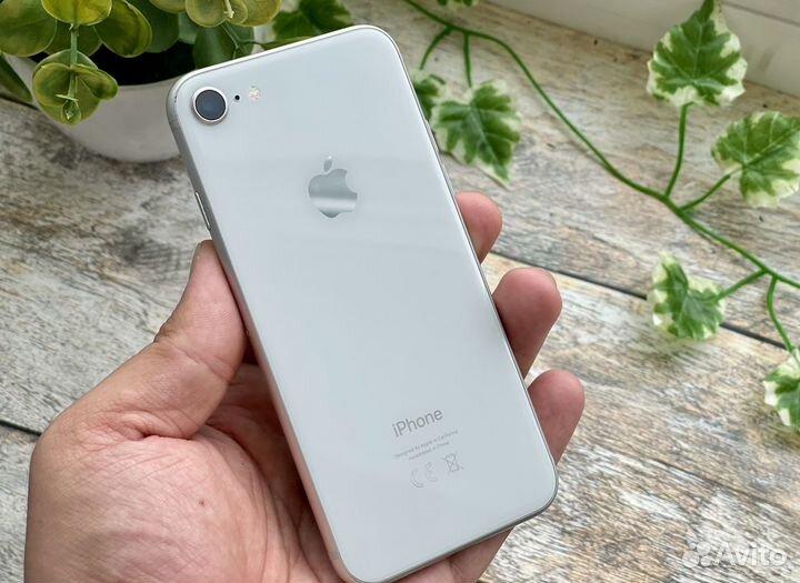 iPhone 8 64 Gb Sim Silver