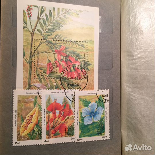 Почтовые марки флора