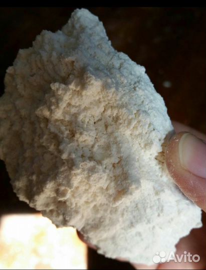 Корма для птиц