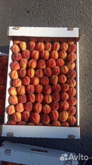 Персики, нектарин