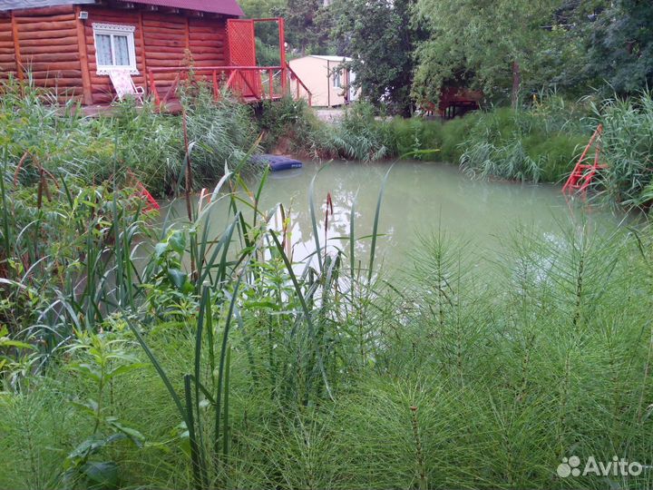 Баня у пруда в Мысхако город Новороссийск
