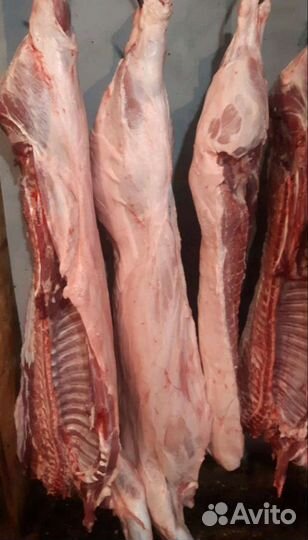 Мясо свинина домашняя