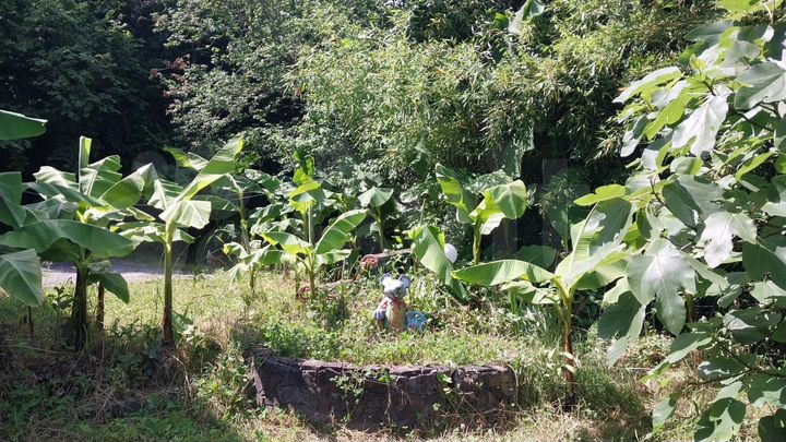 Дом 180 м² на участке 22 сот.