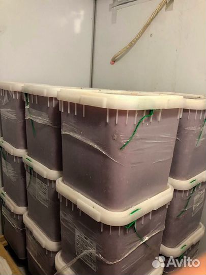 Икра Кеты опт