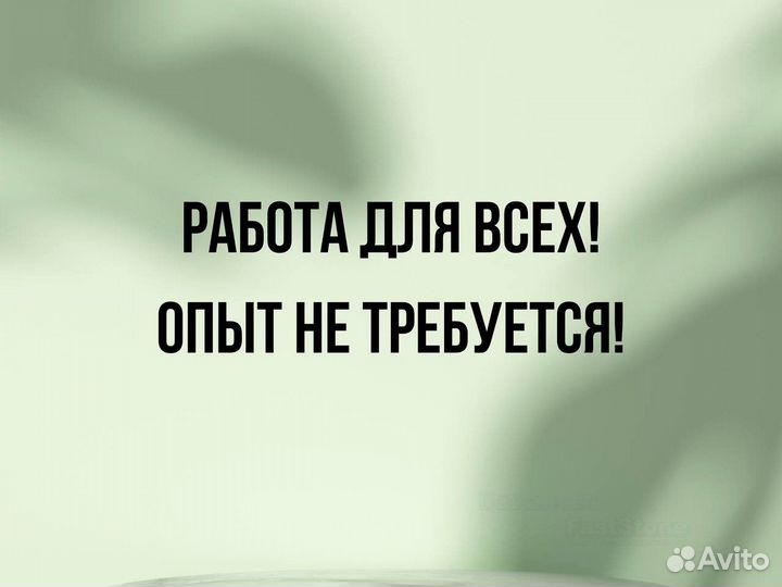 Мойщики