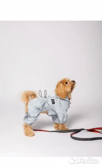 Комбинезон для собак мелких пород