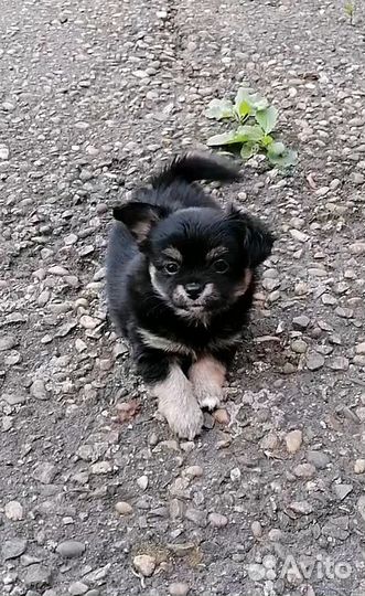 Милый малыш