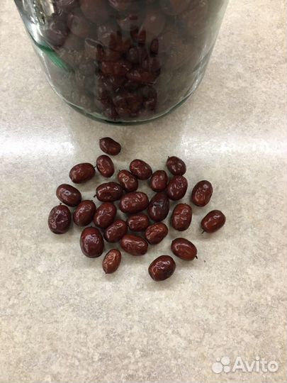 Унаби финик