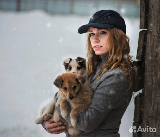 Выгул животных и уход за ними