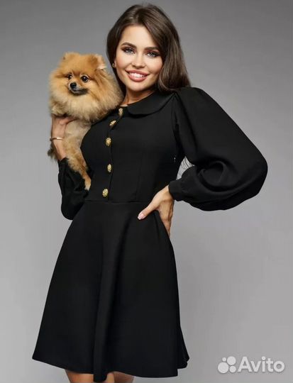 Фотосессия с померанским шпицем