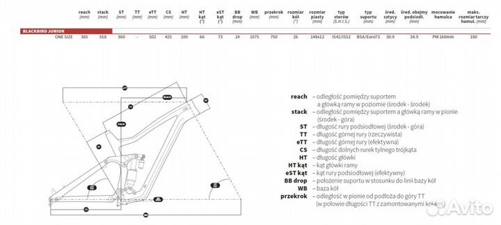 Рама Dartmoor Blackbird Junior