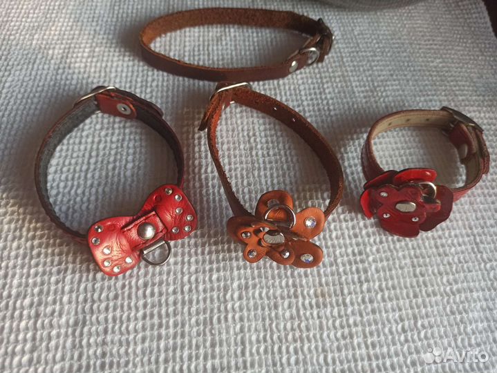 Ошейники и шапка для маленькой собаки