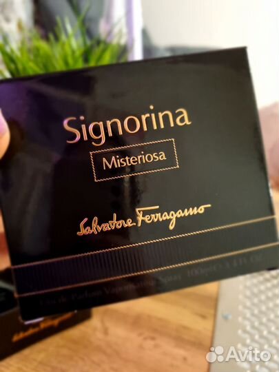 Salvatore ferragamo Signorina Misteriosa