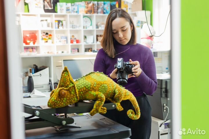 Готовый прибыльный бизнес. Фотосалон, копиценр