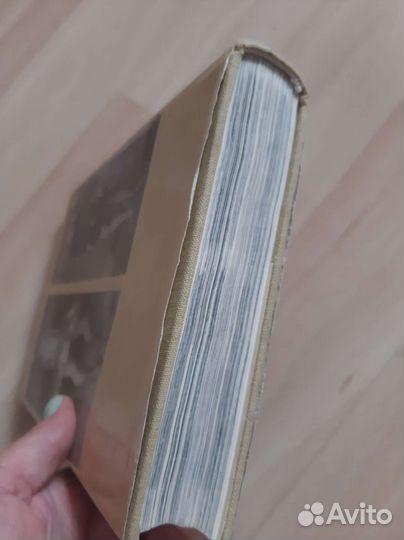 Иллюстрированная энциклопедия моды