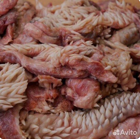 Мясо и кости для собак