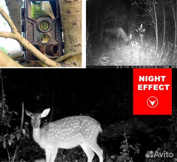 Фотоловушка, 2G SIM, MMS