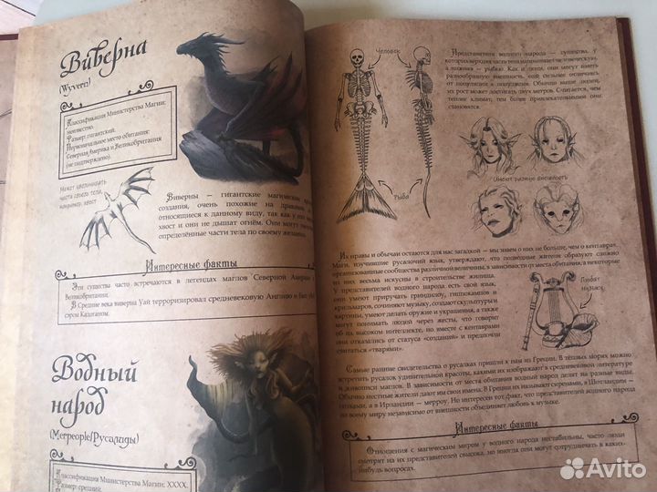 Волшебные существа по Гарри Поттеру