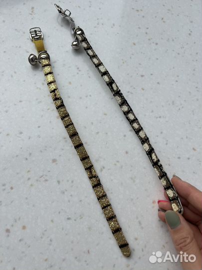 Одежда для собак