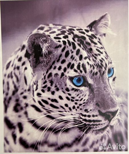 Алмазная мозайка