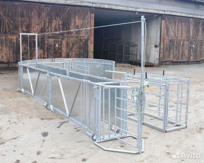 Овцы бараны козы сортировка раскол витамины стада