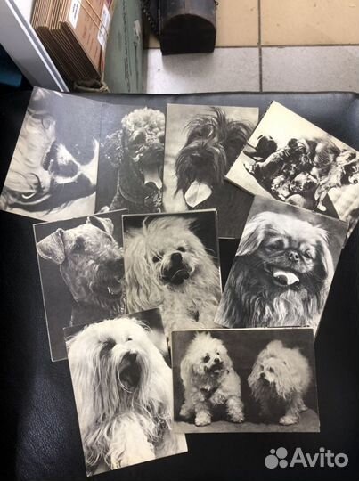 Открытки советские ссср, разные наборы