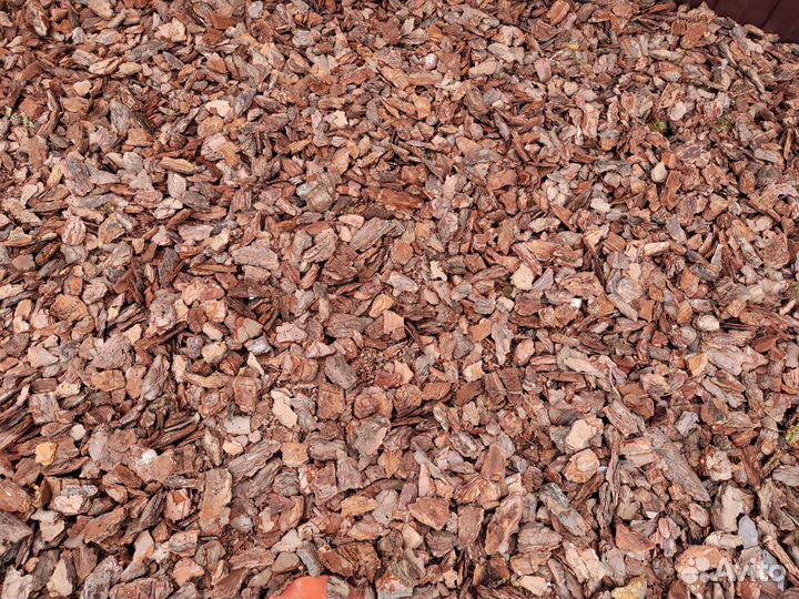 Кора сосны мульча