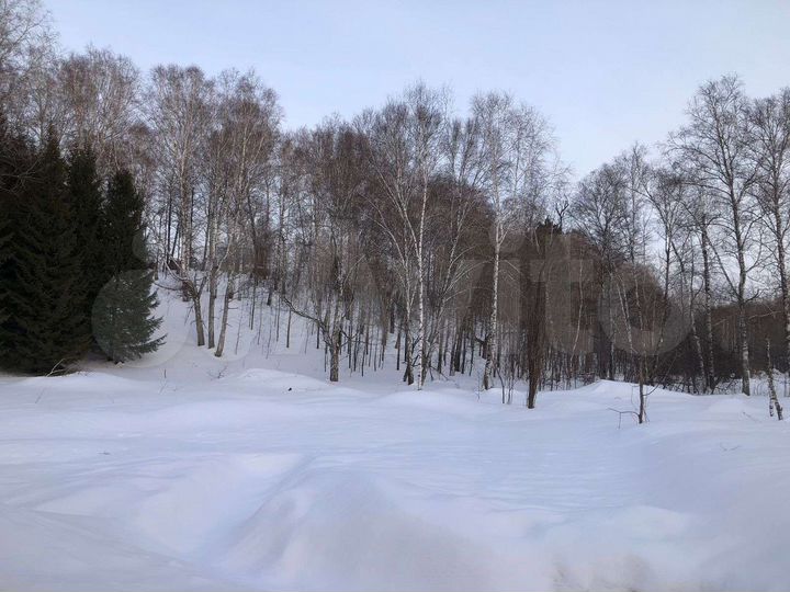 Участок 11,5 сот. (СНТ, ДНП)