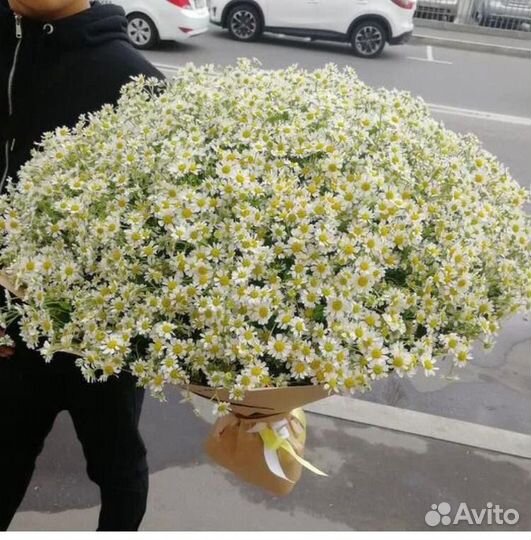 Букет из полевых ромашек