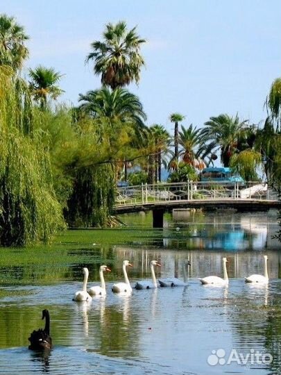 Экскурсия Кольцо Абхазии Рица-Новый Афон