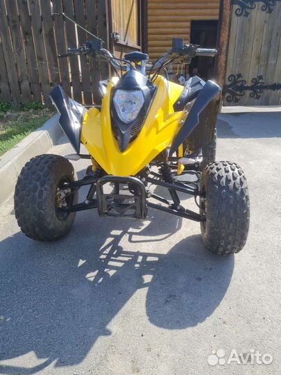 Рысь 125