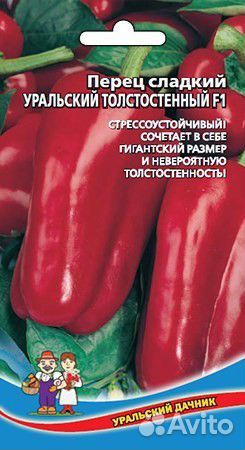 Рассада помидор и перцев