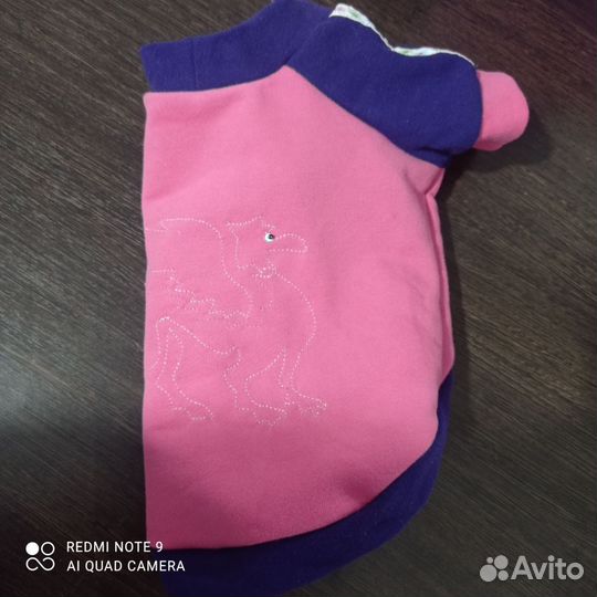 Одежда для кошек и собак