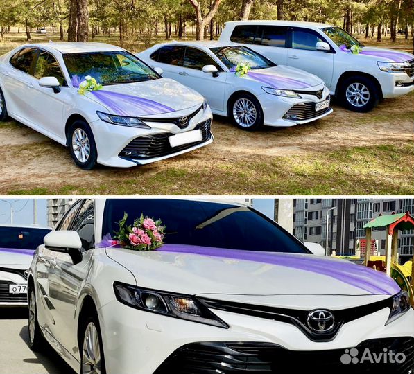 Украшения свадебной машины. Украшения на авто