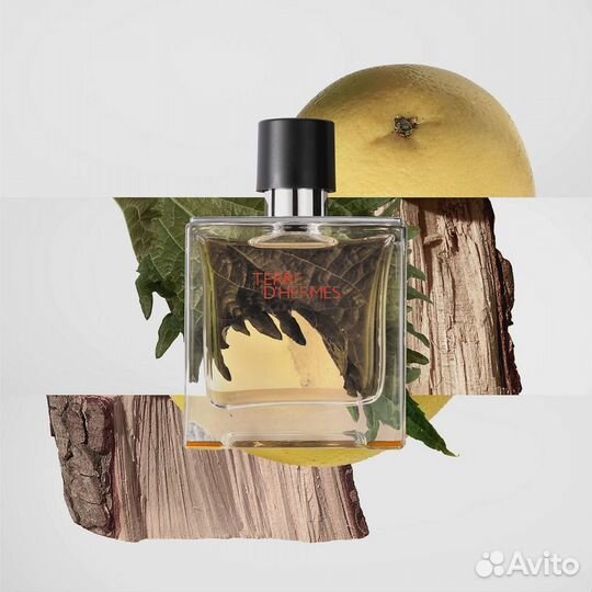 Terre d'Hermes Eau DE toilette 100