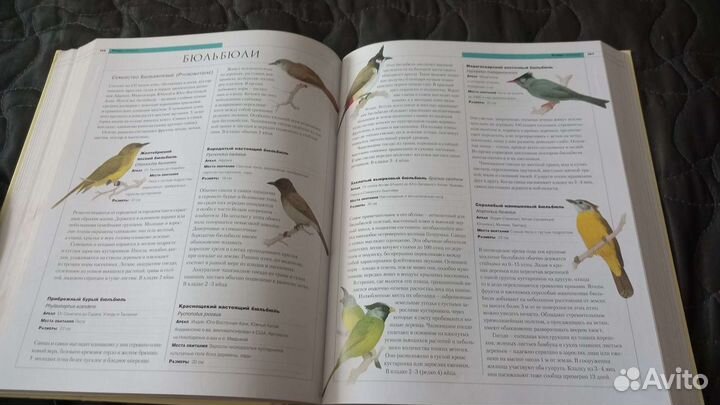 Новейшая энциклопедия животных