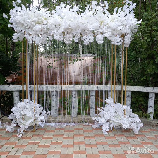 Арка. Выездная регистрация. Постановочная регистра