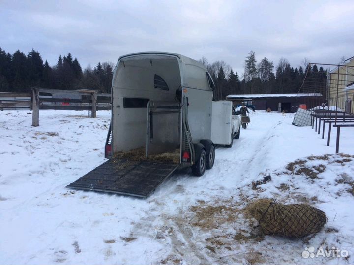 Перевозка лошадей и коров