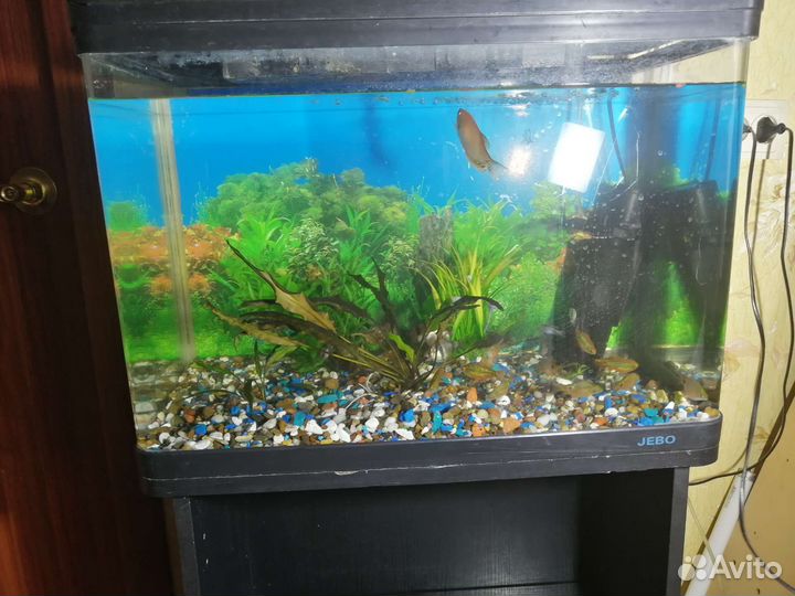 Аквариум