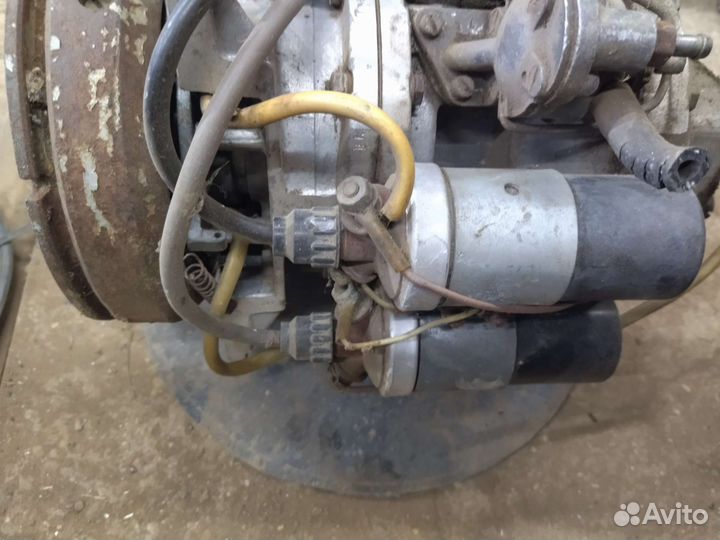 Гибрид Вихрь 20