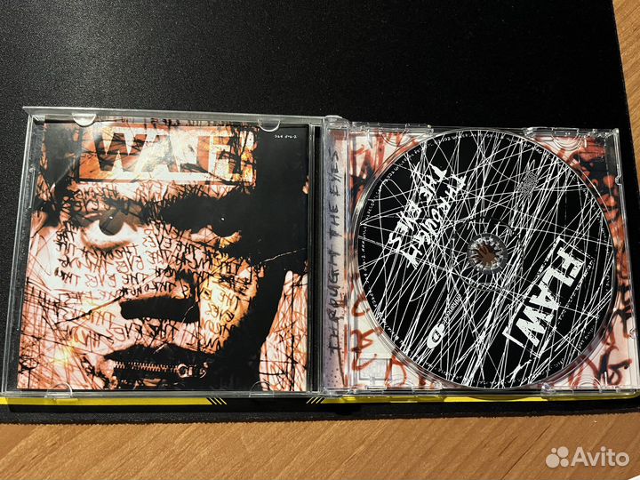 Flaw - Through The Eyes
